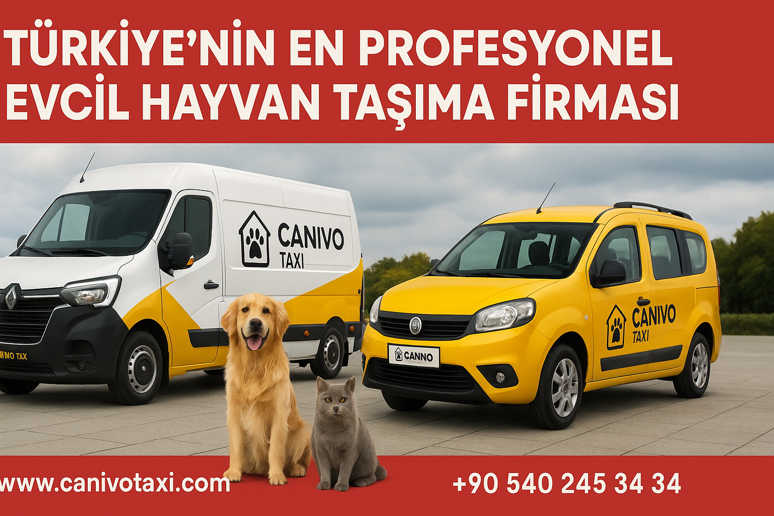 🐾 Bursa Pet Taxi | Marmara’nın Kalbinde Profesyonel Evcil Hayvan Tasımacılığı